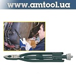 ����� ������������ �����������