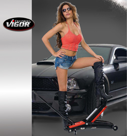 ���������� VIGOR �� ��������