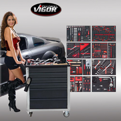 ���������������� ������� VIGOR